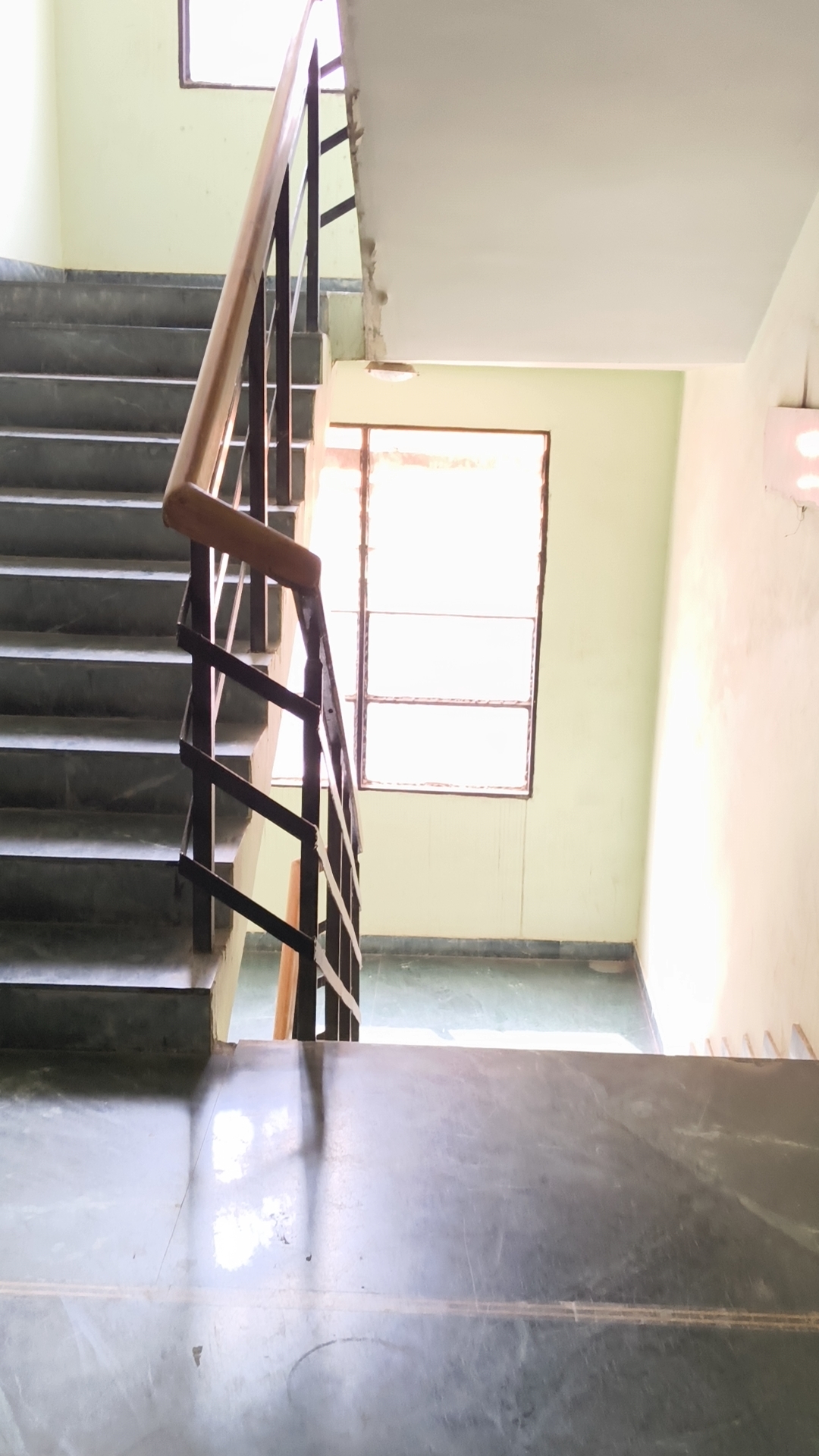 3 BHK Flat For Rent in Kankarbagh Main Road Patna